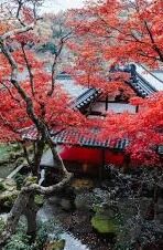 90足球比分-90分钟风云变幻，深度解析足球比分的魅力与背后的故事