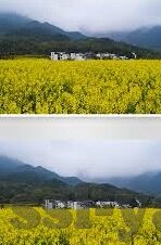 开云平台网址-开云平台网址的便捷性与安全性解析