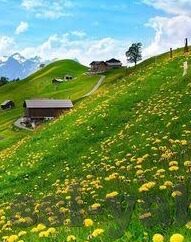 kaiyun体育app下载地址-别让捷径毁了前方的风景